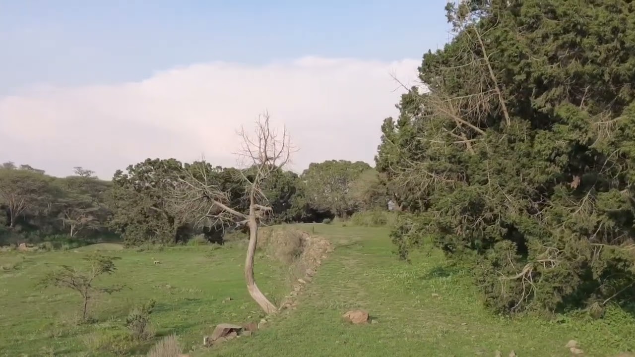 مناظر من الجنوب/قريه المسقوي القمر