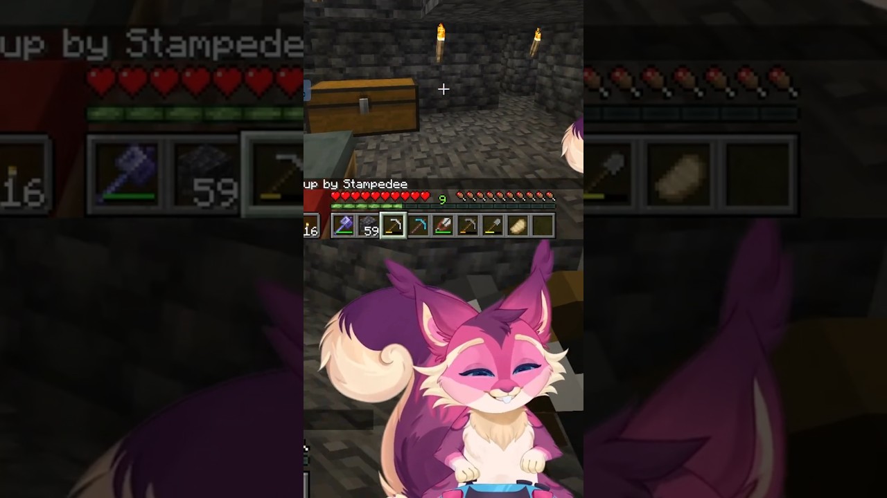 my k!nk is karma 🩷 | Minecraft Crowd Control Highlights