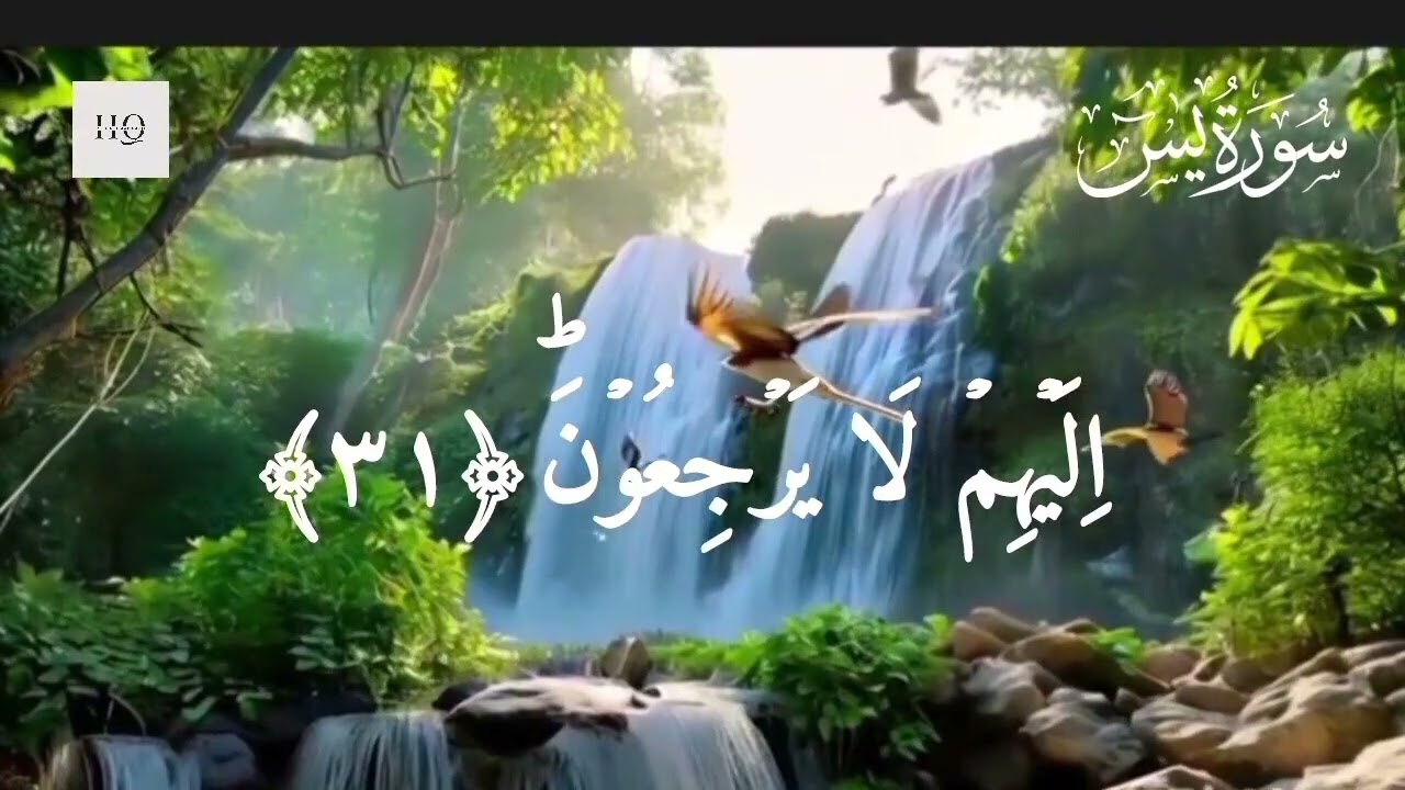 Surah Yaseen Full | Start Your Day with Quran | Morning Tilawat
