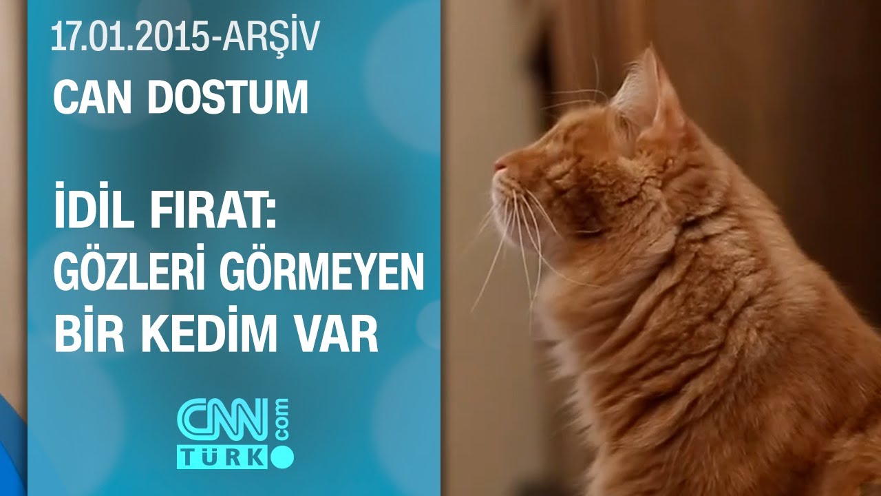 İdil Fırat: Sokak hayvanlarına karşı &ccedil;ok hassasım - Can Dostum 17.01.2015
