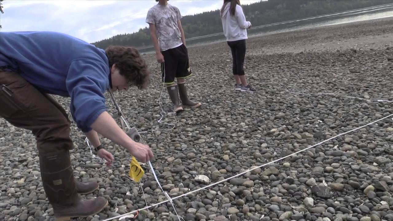 How To Measure The Beach Slope