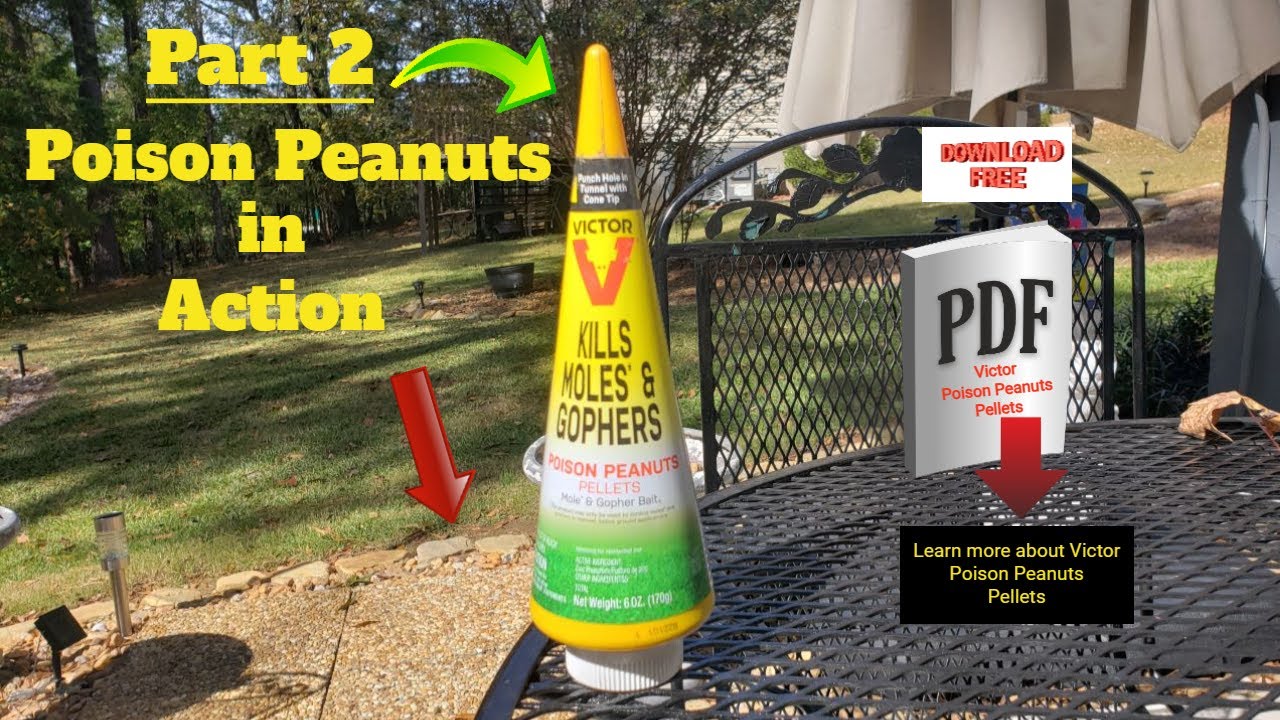 Mole & Gopher Problems Solved! Part 2