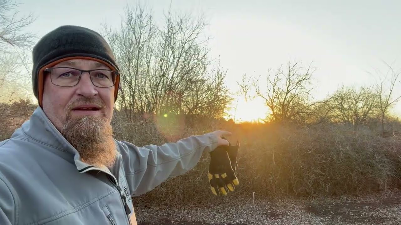 Briar removal 