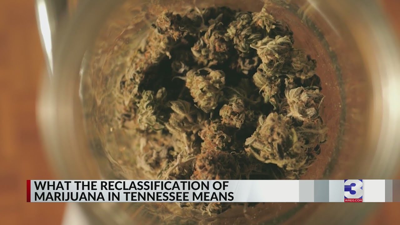 What the reclassification of marijuana in TN means