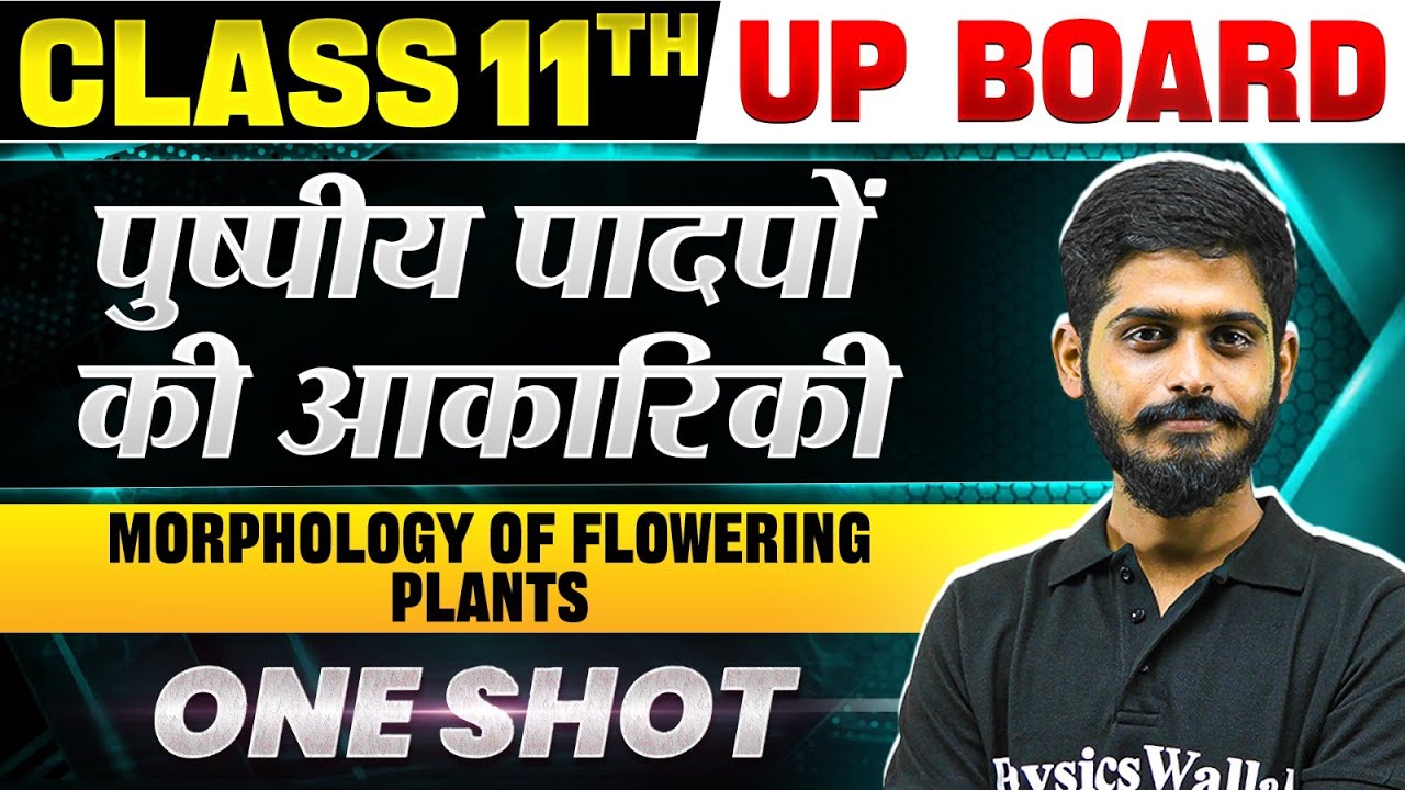 Class 11 Biology Chapter 4 -  पुष्पीय पादपों की आकारिकी (Morphology of Flowering Plants) | One shot