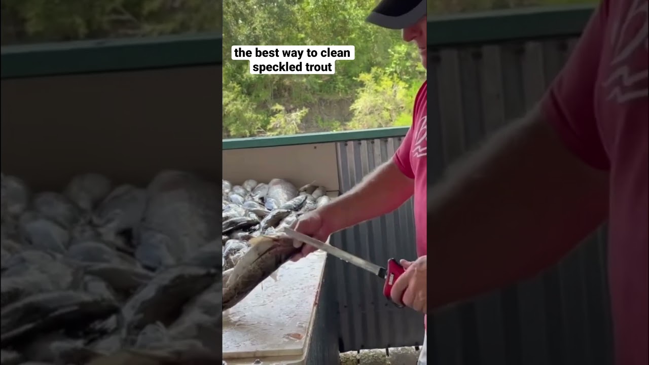 The best way to clean speckled trout