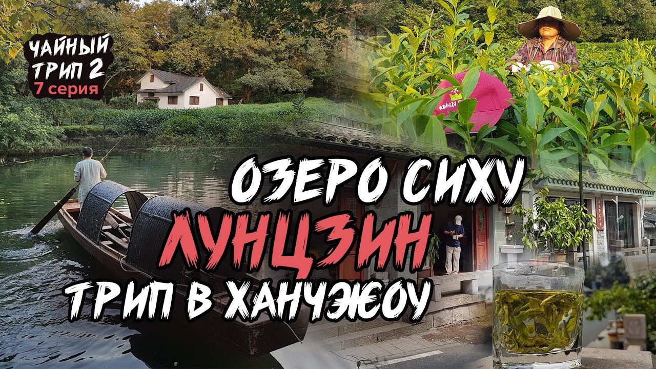 Лунцзин / Колодец Дракона. Зеленый чай  с озера Сиху, трип в Ханчжоу.