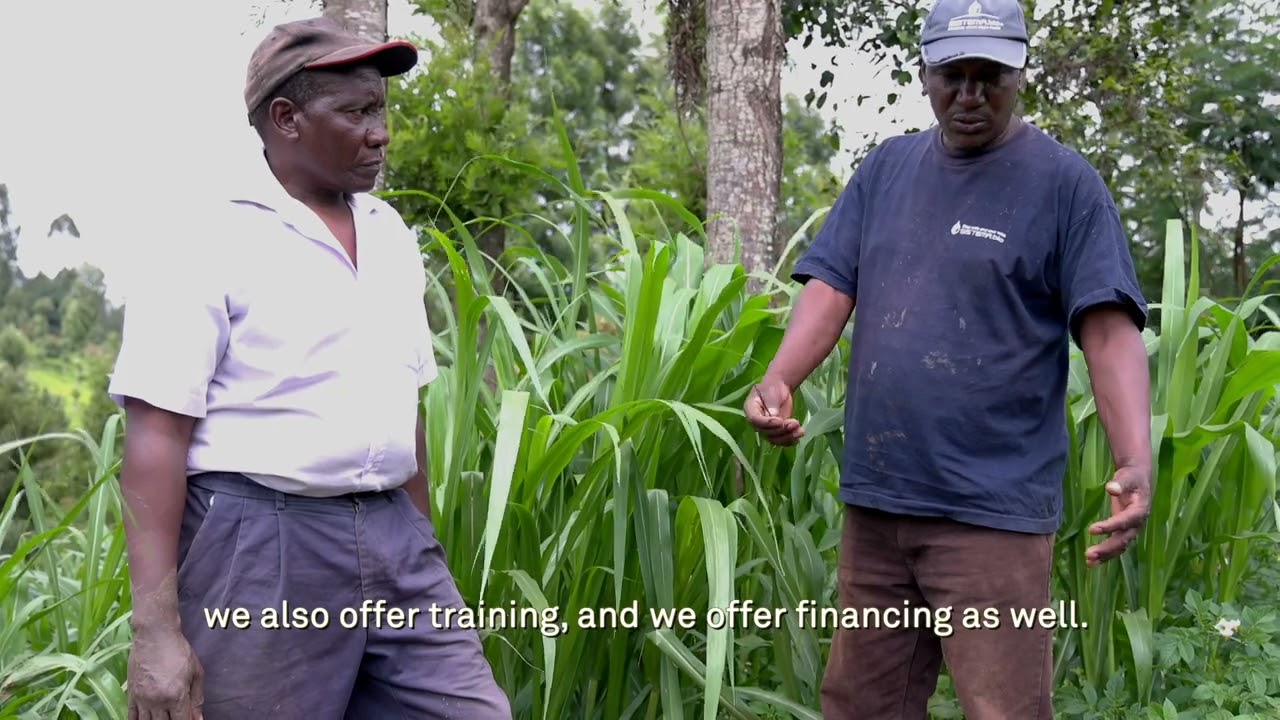 Sistema.bio: biogas technology for smallholder farmers