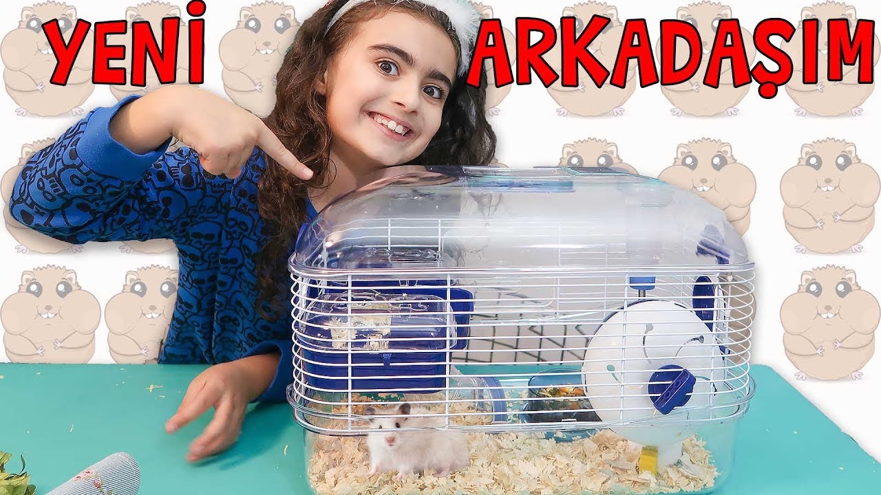 MİRA 'YA S&Uuml;RPRİZ YAPTIM | &Ccedil;ok sevimli hayvan Gonzales Hamster aldık