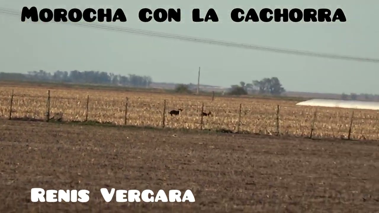 Las dos del sábado 
