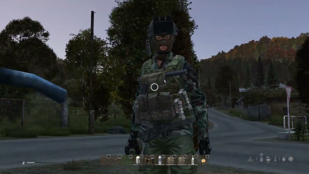DayZ : 2026/01/25 14:29:02