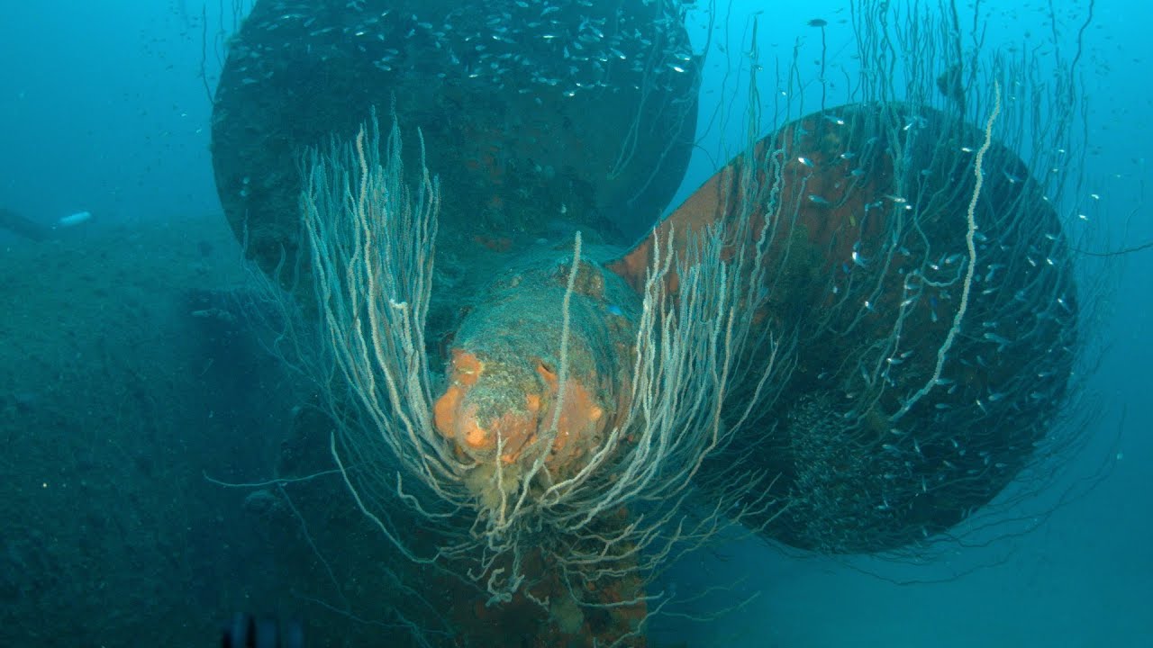 Extreme Wreck Diving: Bikini Atoll (2014) HD Lust 4 Rust