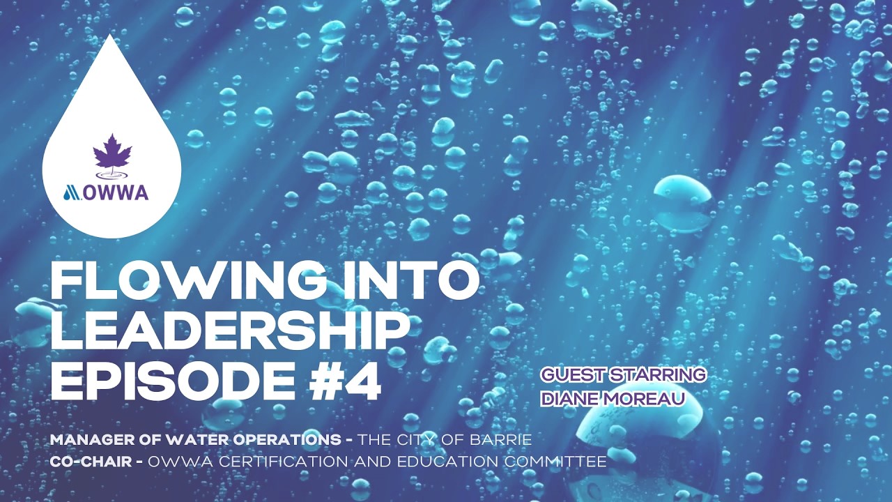 Flowing Into Leadership - Diane Moreau