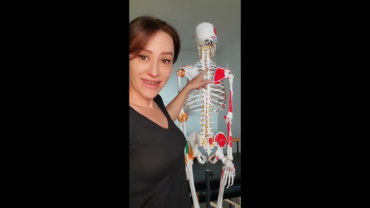 Почему болит и напрягается шея.