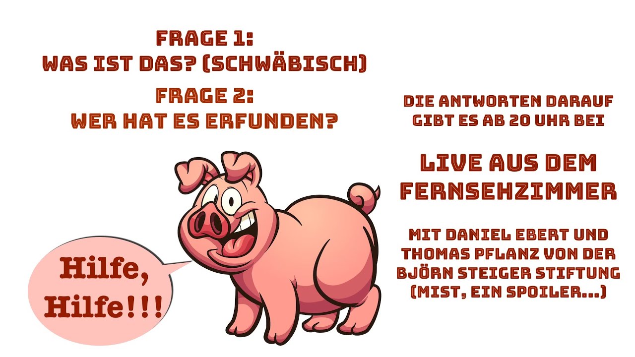 Rettet die Retter! Die Björn Steiger Stiftung - Live aus dem Fernsehzimmer