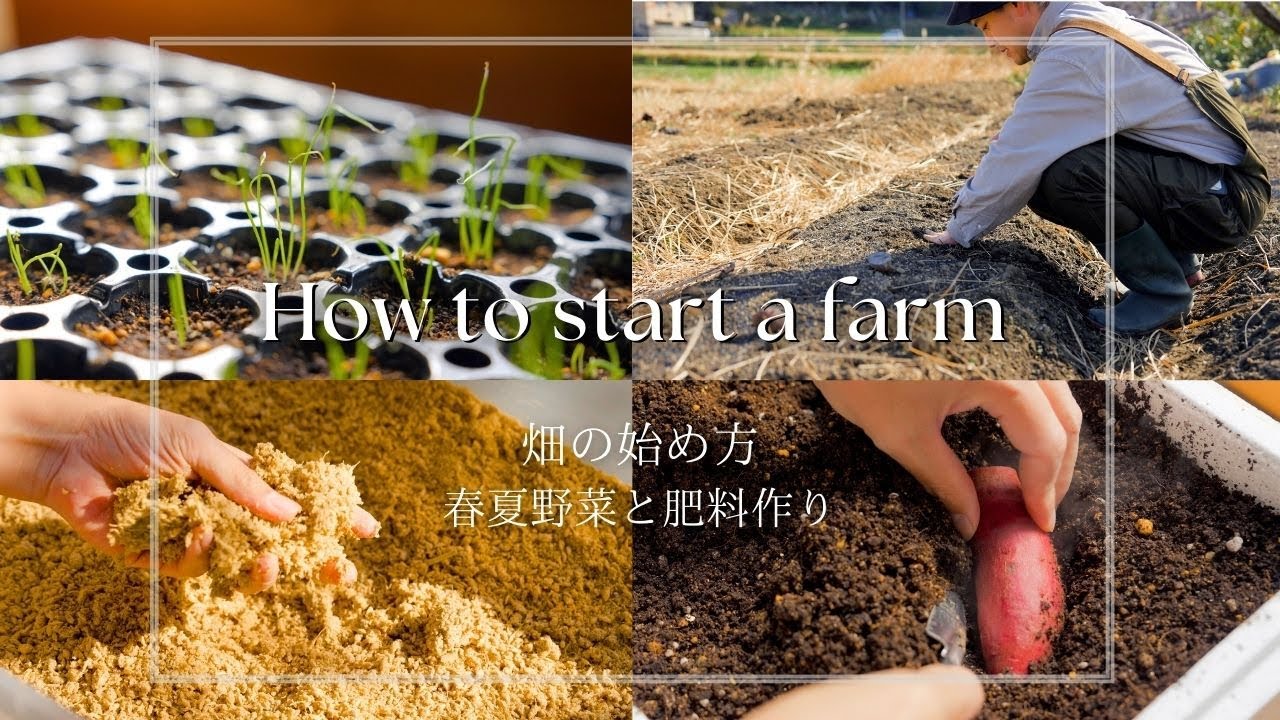 【田舎暮らし】畑を始めることになりました | ぼかし肥料作り | 春夏野菜の準備 | 芋の芽出し | 土づくり | 有機農園