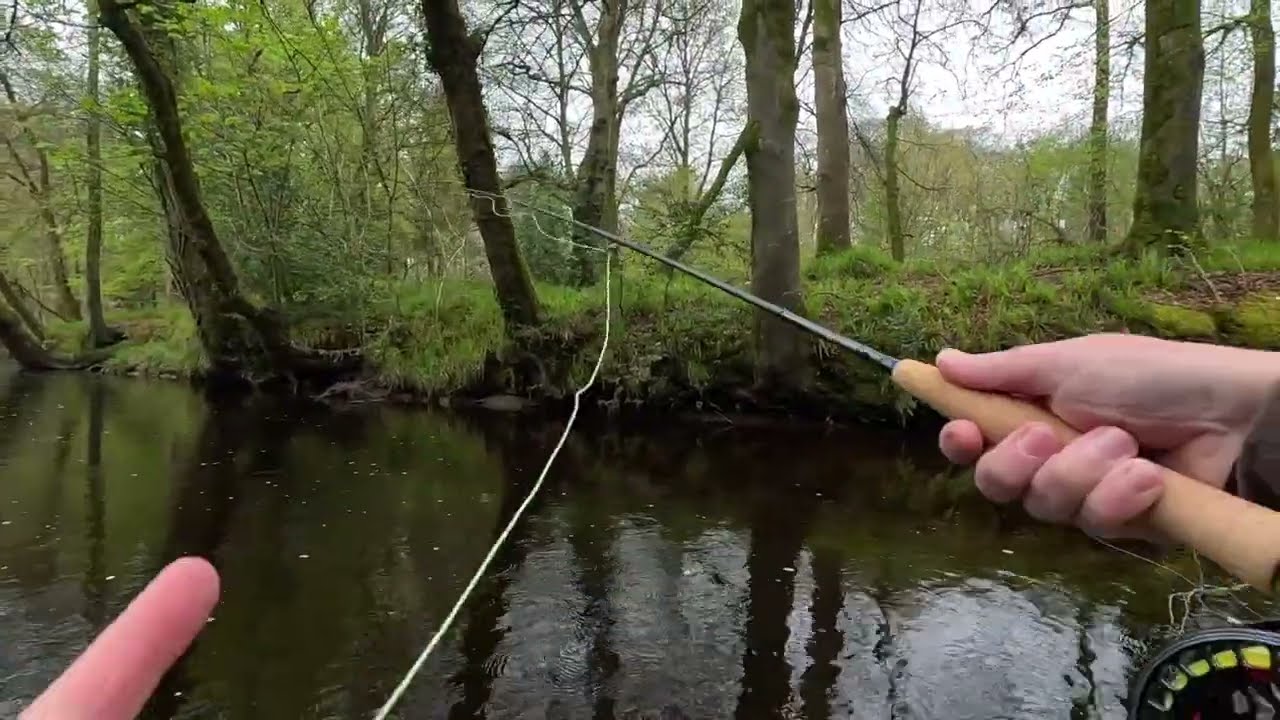 Fly Fishing on the River Doon with Davie McPhail