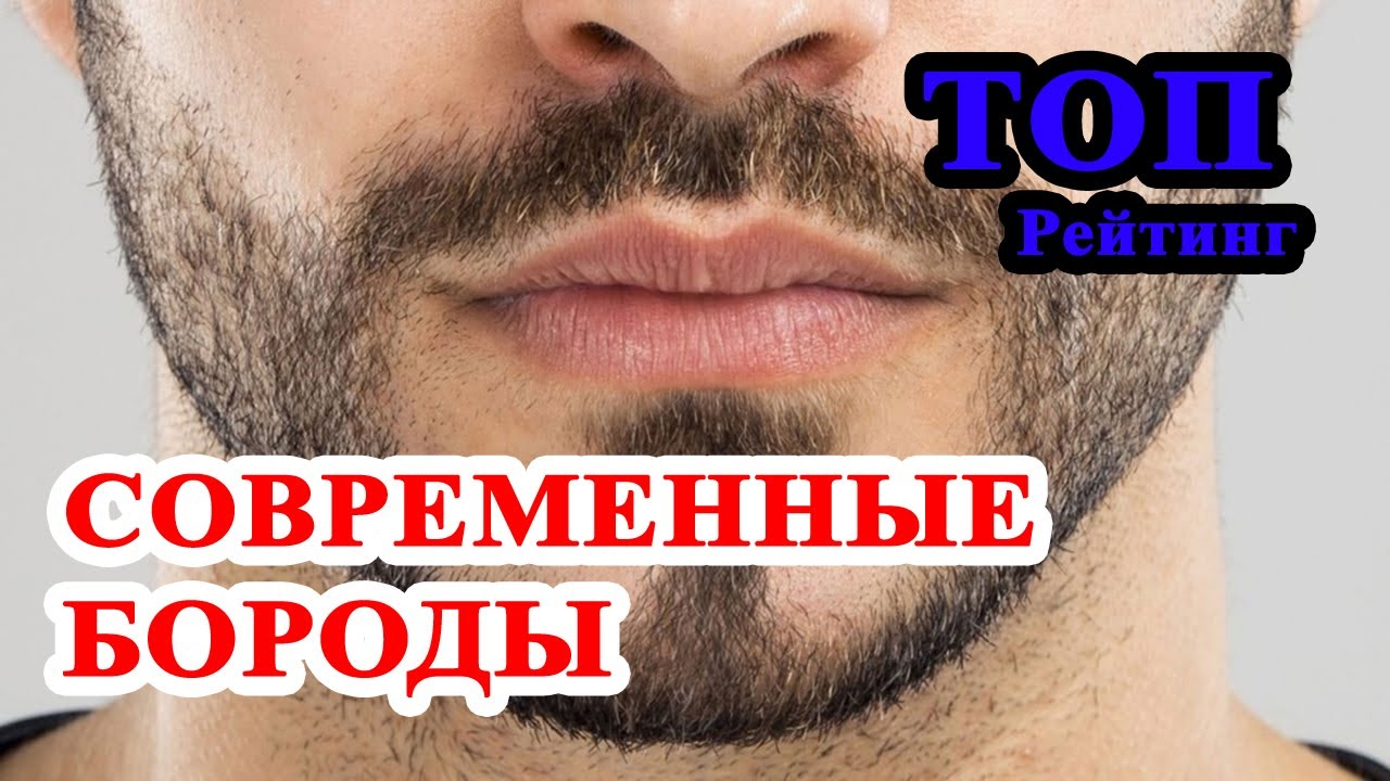 ТОП 8 современных мужских бород. Какую бороду все же носить?