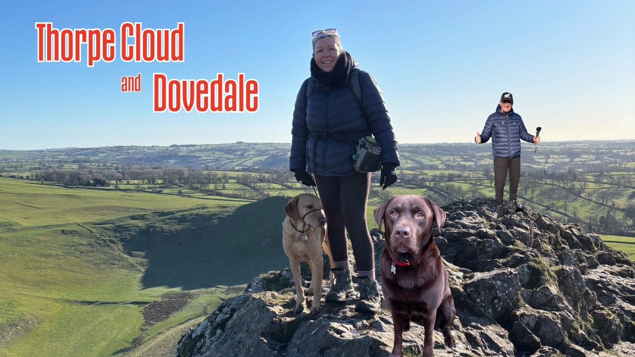 Peak District, Dovedale and Thorpe cloud with a pair of Labradors