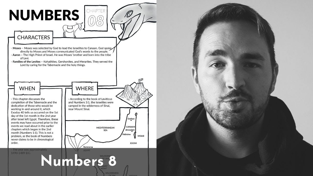 Обзор Numbers 8: краткий обзор за 5 минут