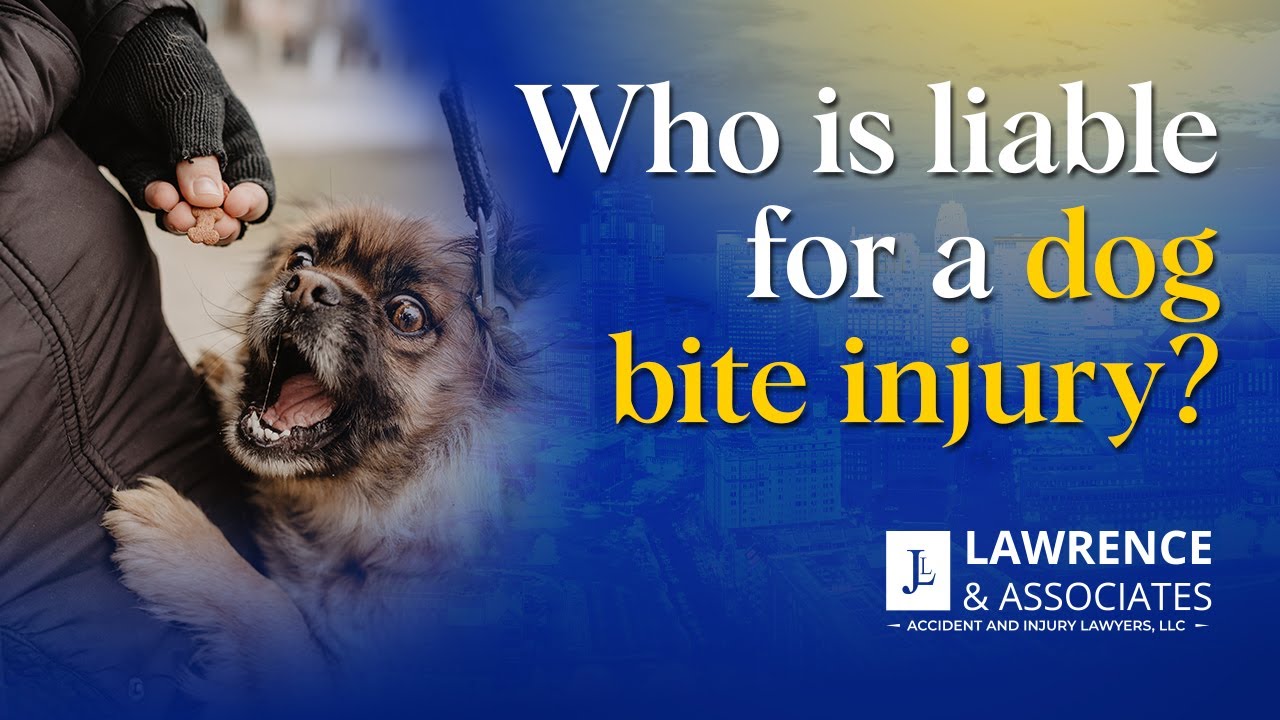 Who Is Liable for a Dog Bite Injury?