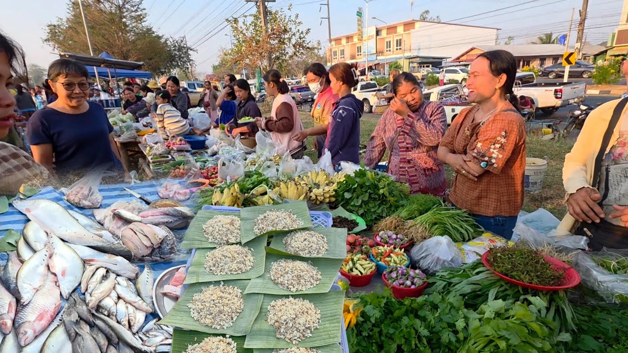 ตลาดนัดเช้าบ้านหัวนา อ.เขมราฐ จ.อุบลฯ #ไข่มดแดง  #ปลาโขง  #อาหารตามฤดูกาล 