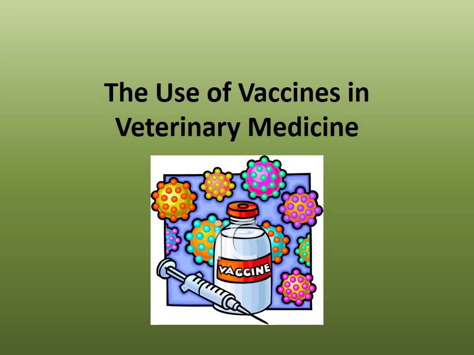 MBC Online Vet Tech Review 3.1 - Vaccination