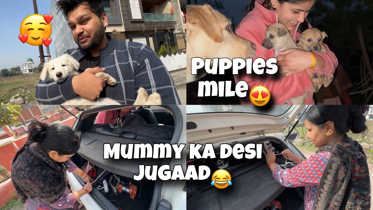 INDIAN MAA Ka Desi Jugaad😂 Hume Mile Chotai Puppies🐶❤️