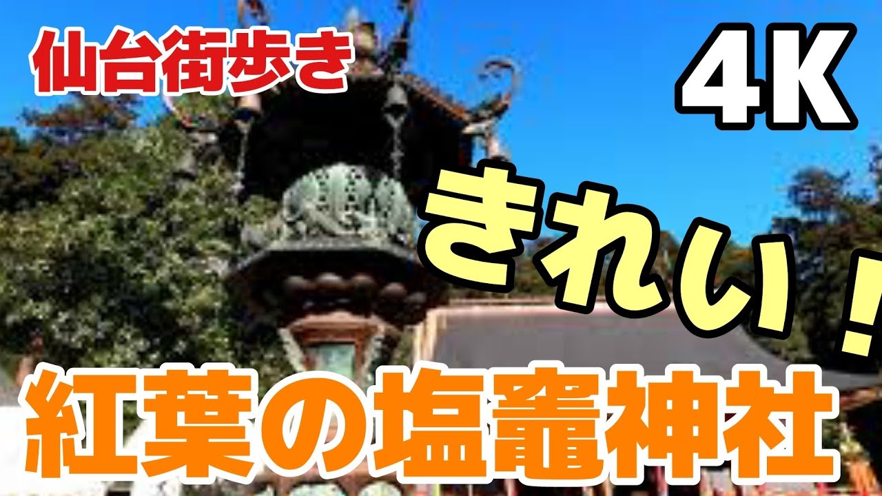 4K 【塩竈市】塩竃神社の紅葉がとってもきれいです。