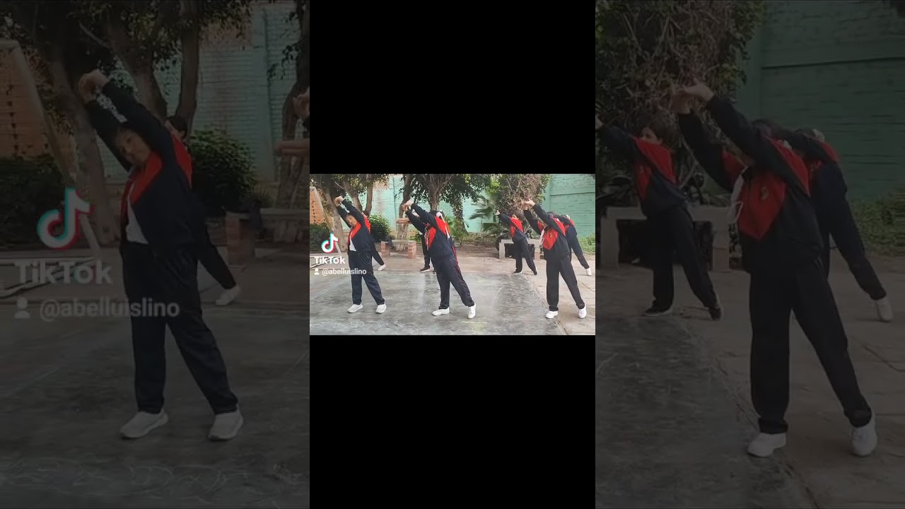 Actividad Física Saludable_ Semana Nº 3