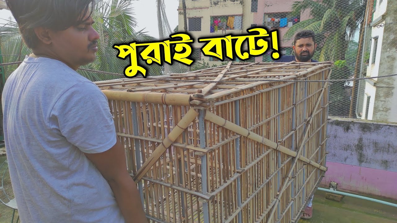 নতুন ধাপরি নিয়ে পুরাই বাটে!