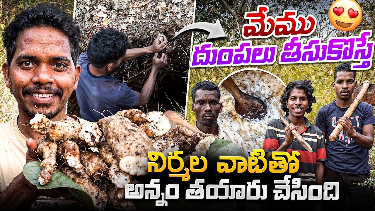 ఇలాంటి ఫుడ్ మీరు చూసి ఉండరు|దుంపలతో రుచికరమైన భోజనం😋మా పూర్వీకుల పద్ధతిలో వంట🧑‍🍳Araku Tribal Vlogs 