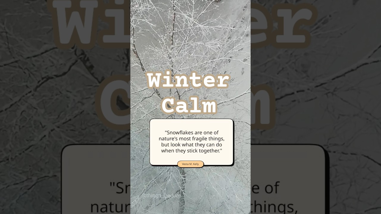 a moment of winter calm ❄️✨ nature's lesson