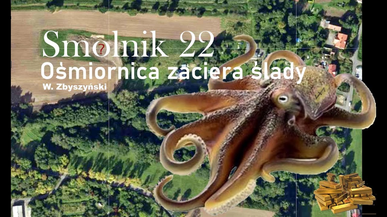( Leśna ) Smolnik 22 - Ośmiornica zaciera ślady...
