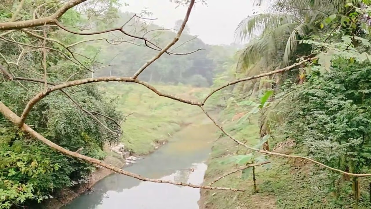 The Ultimate IIUC Campus Tour 2026  Green Campus & Academic Excellence