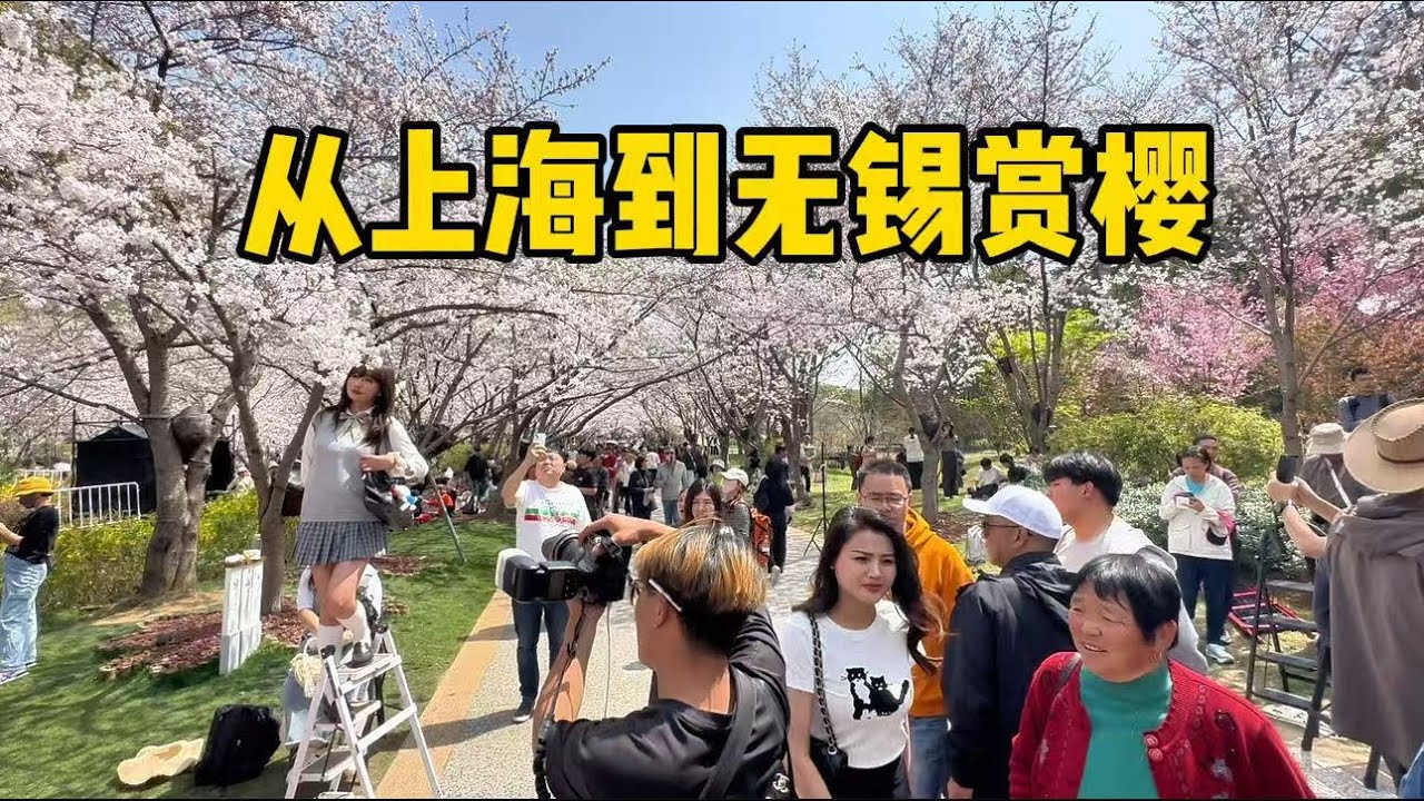 从上海到无锡旅游，鼋头渚赏樱、吃当地美食，用deepseek推荐2天1晚行程（上）