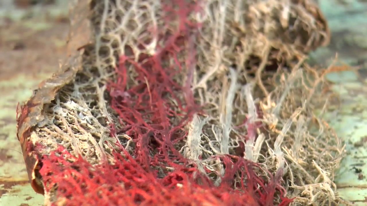 Sciàtu - sculpture lamp by Renato Belluccia / designer