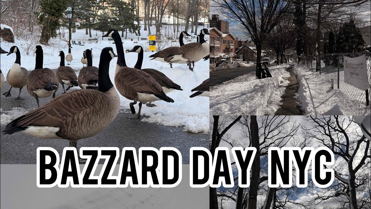 Spend the day with me Post New York Bazzard Day 2026  | Slow Day | Snow Day  