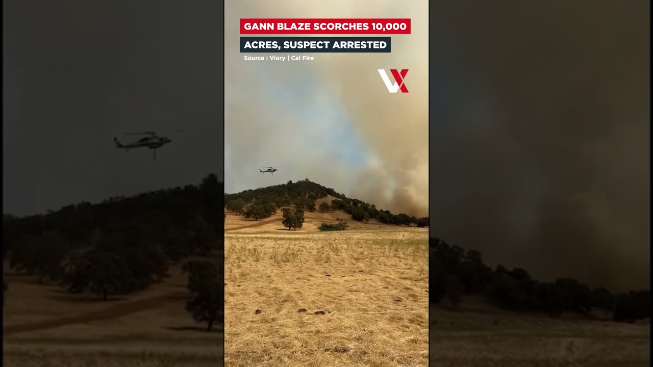 California's Gann Fire Explodes | Water Bombers Battle 10,000-Acre Inferno As Man Arrested | VERTEX