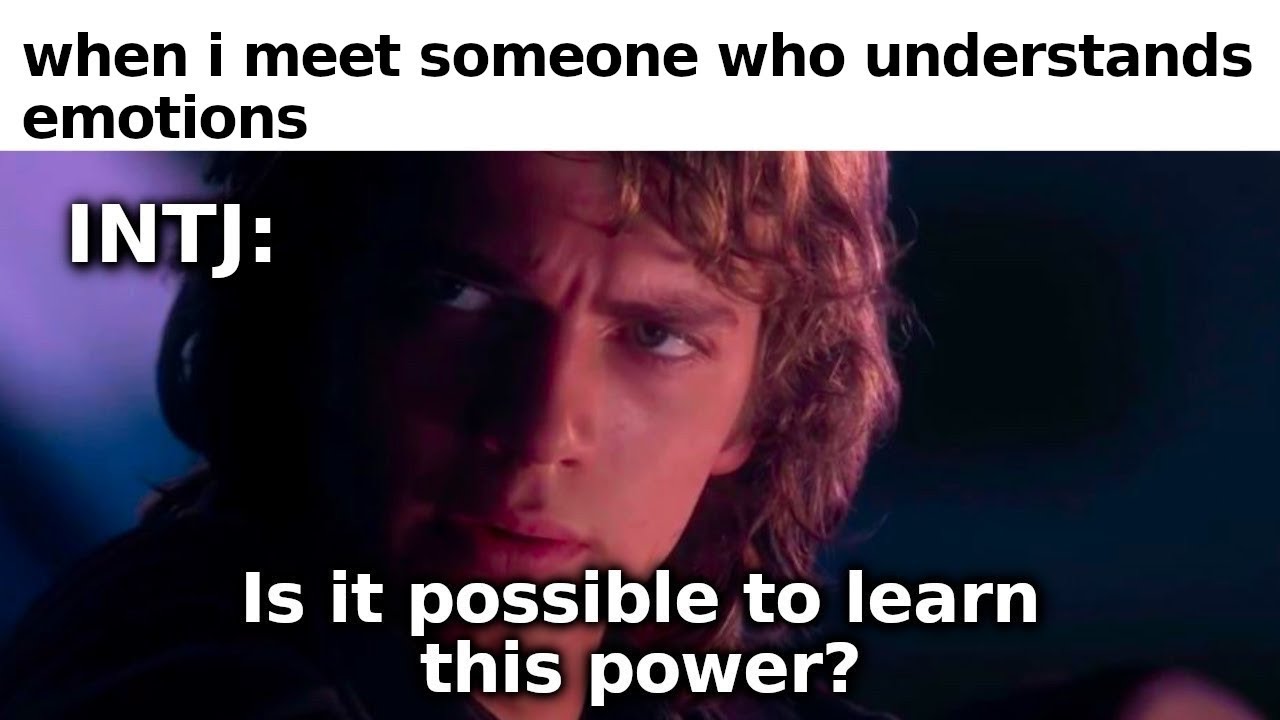 INTJ MEMES (16 Personalities / MBTI)