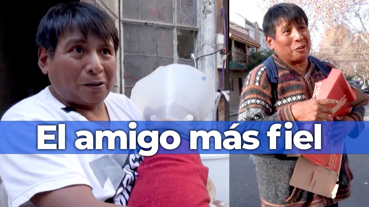 SALE A CARTONEAR PARA MANTENER UN REFUGIO DE PERROS | EL AMIGO MÁS FIEL