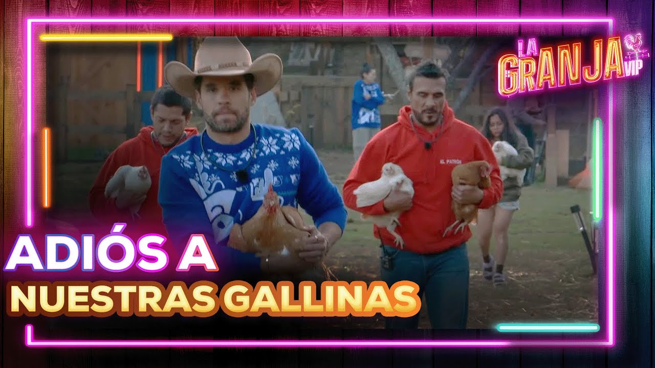 Hoy fue el turno de las gallinas y ha sido una despedida difícil para algunos de nuestros granjeros.