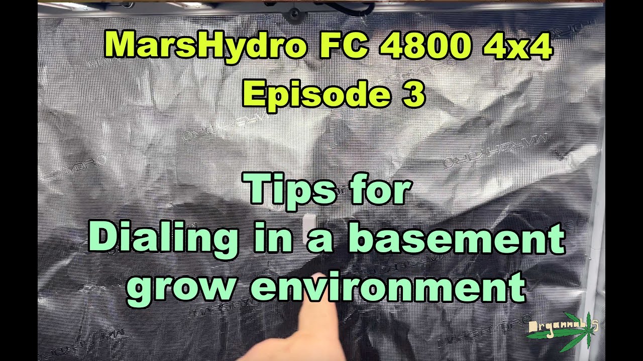 Dialing In The Basement Grow and Tips For Maintaining Environment And VPD Mars Hydro FC4800 Ep 3