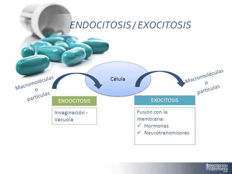 Tema 2. FARMACOCINÉTICA; Absorción.