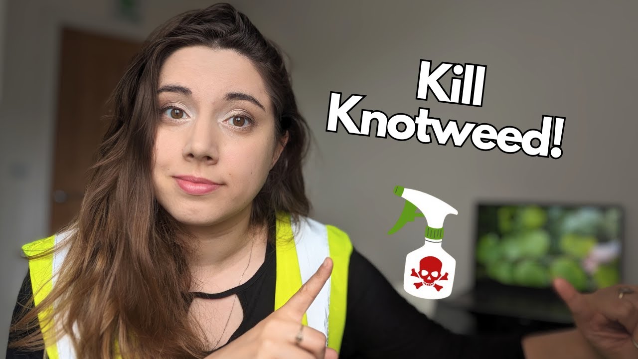 How to get rid of Japanese knotweed | Knotweed removal UK
