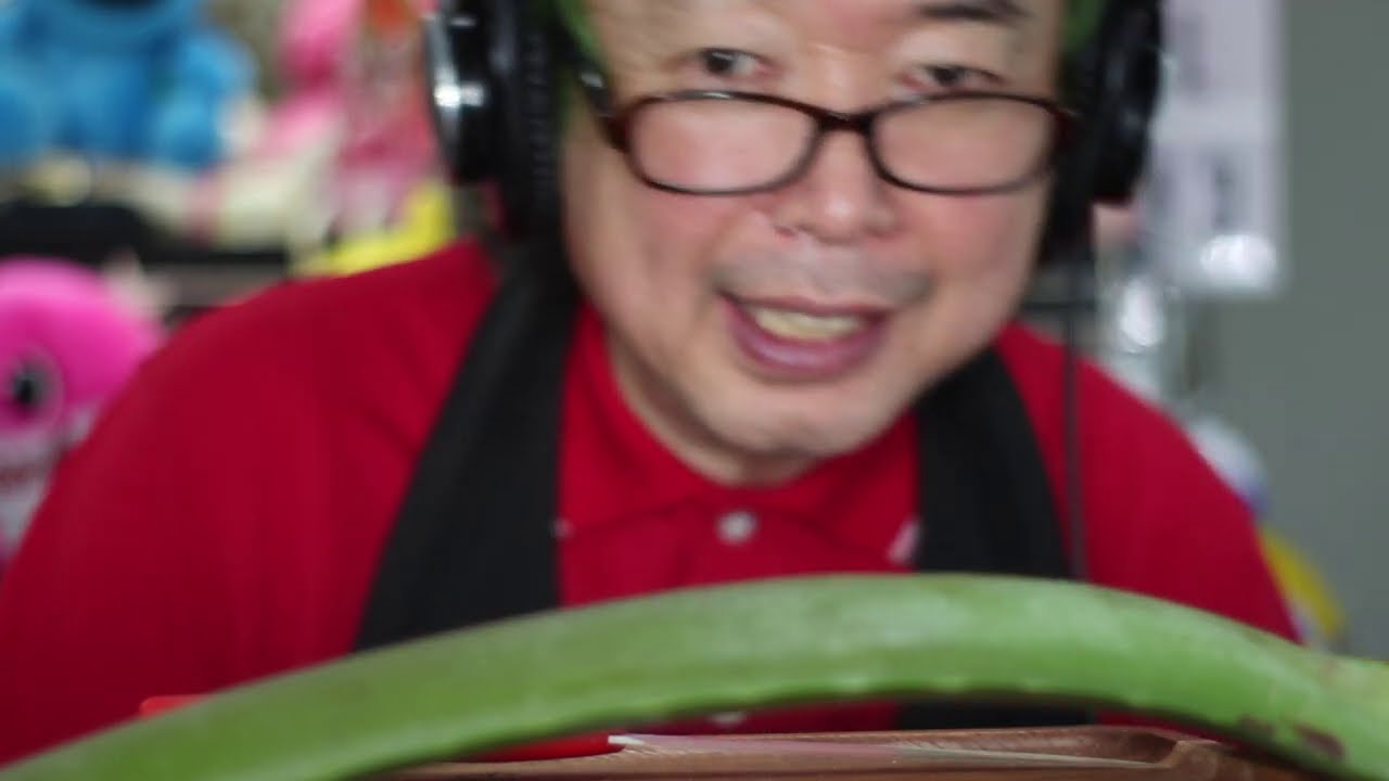 【ASMR】 ALOE VERA CHALLENGE