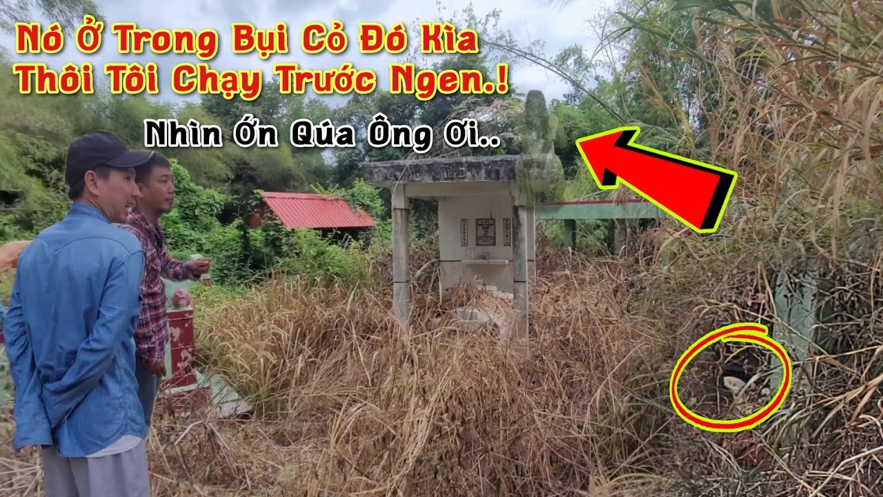 Cùng Thầy Bùa Vào Nghĩa Địa Săn Ma Đúng Giờ Linh - Cái Kết Kinh Hoàng Khiến Nổi Óc Phải Bỏ Chạy