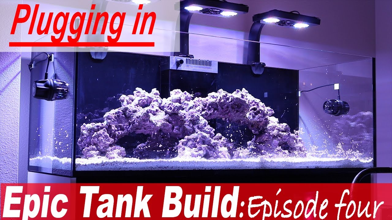 Plumbing, Sand, and Water! Epic Reef Tank Build 525 XL