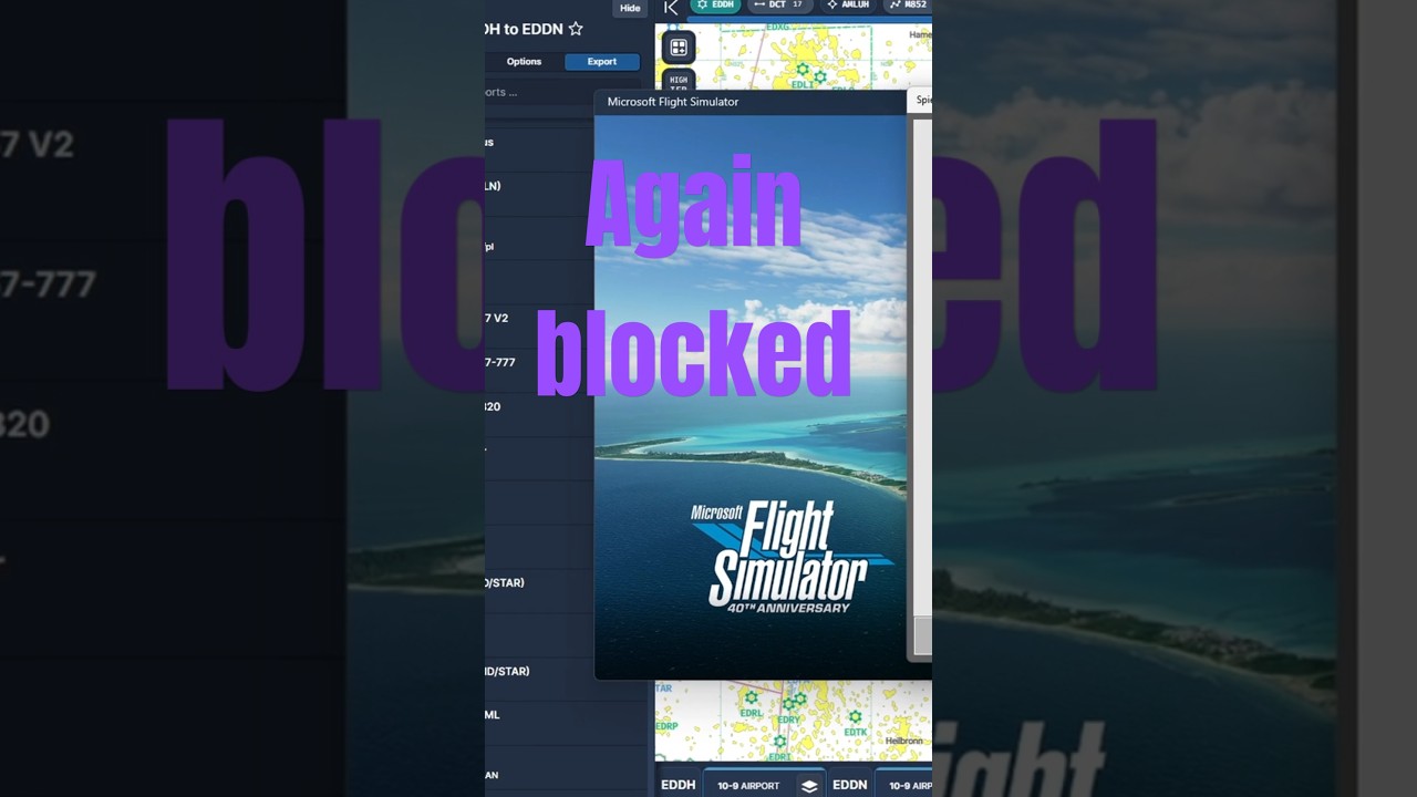 #Flightsimulator