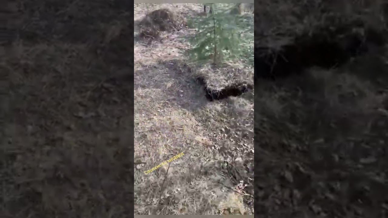 ⚡⚡POGLEDAJTE UKRAJINSKE VOJNIKE ISPOD ZEMLJE
